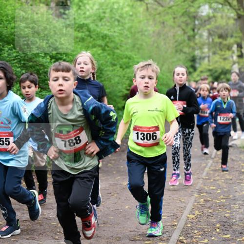 19.04.2026 - Hammer Lauf Dr. Thomas Lammeyer http://msf.ph/oto/9527419 19.04.2026 09:25:43 Laufen 1155, 788, 1306, 1222 meine-sportfotos.de