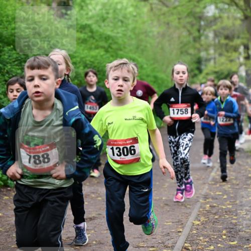 19.04.2026 - Hammer Lauf Dr. Thomas Lammeyer http://msf.ph/oto/9527423 19.04.2026 09:25:43 Laufen 1155, 788, 1306, 1758, 1222 meine-sportfotos.de