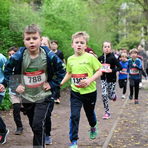 19.04.2026 - Hammer Lauf Dr. Thomas Lammeyer http://msf.ph/oto/9527425 19.04.2026 09:25:43 Laufen 1155, 788, 130, 1758, 1222 meine-sportfotos.de