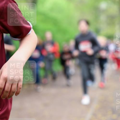 19.04.2026 - Hammer Lauf Dr. Thomas Lammeyer http://msf.ph/oto/9527447 19.04.2026 09:25:46 Laufen 1816 meine-sportfotos.de
