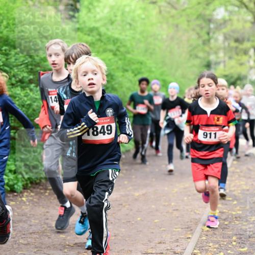 19.04.2026 - Hammer Lauf Dr. Thomas Lammeyer http://msf.ph/oto/9527467 19.04.2026 09:25:48 Laufen 1410, 1849, 911, 100 meine-sportfotos.de