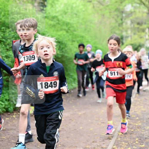 19.04.2026 - Hammer Lauf Dr. Thomas Lammeyer http://msf.ph/oto/9527471 19.04.2026 09:25:48 Laufen 1384, 1309, 1849, 911, 874, 1006 meine-sportfotos.de