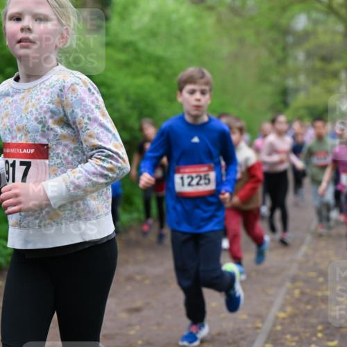 19.04.2026 - Hammer Lauf Dr. Thomas Lammeyer http://msf.ph/oto/9527493 19.04.2026 09:25:53 Laufen 917, 1225 meine-sportfotos.de