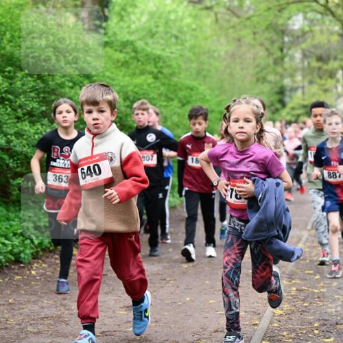 19.04.2026 - Hammer Lauf Dr. Thomas Lammeyer http://msf.ph/oto/9527504 19.04.2026 09:25:54 Laufen 1890, 363, 640, 887 meine-sportfotos.de