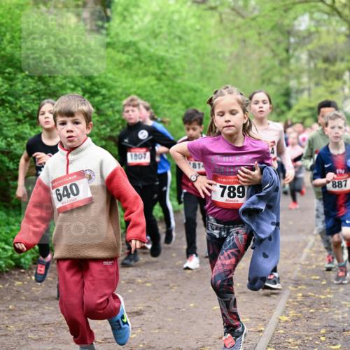 19.04.2026 - Hammer Lauf Dr. Thomas Lammeyer http://msf.ph/oto/9527505 19.04.2026 09:25:54 Laufen 640, 1807, 814, 789, 887 meine-sportfotos.de