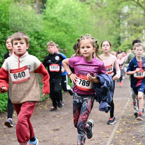 19.04.2026 - Hammer Lauf Dr. Thomas Lammeyer http://msf.ph/oto/9527507 19.04.2026 09:25:54 Laufen 640, 1807, 789, 887 meine-sportfotos.de