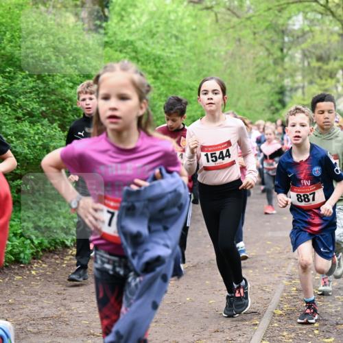19.04.2026 - Hammer Lauf Dr. Thomas Lammeyer http://msf.ph/oto/9527512 19.04.2026 09:25:54 Laufen 1544, 887 meine-sportfotos.de