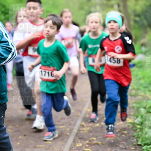 19.04.2026 - Hammer Lauf Dr. Thomas Lammeyer http://msf.ph/oto/9527553 19.04.2026 09:26:00 Laufen 213, 1716, 458 meine-sportfotos.de