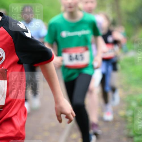 19.04.2026 - Hammer Lauf Dr. Thomas Lammeyer http://msf.ph/oto/9527559 19.04.2026 09:26:01 Laufen 458, 645 meine-sportfotos.de