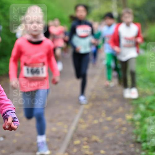 19.04.2026 - Hammer Lauf Dr. Thomas Lammeyer http://msf.ph/oto/9527572 19.04.2026 09:26:03 Laufen 1661 meine-sportfotos.de