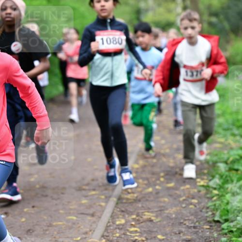 19.04.2026 - Hammer Lauf Dr. Thomas Lammeyer http://msf.ph/oto/9527574 19.04.2026 09:26:04 Laufen 1661, 1080 meine-sportfotos.de