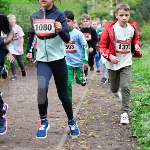 19.04.2026 - Hammer Lauf Dr. Thomas Lammeyer http://msf.ph/oto/9527577 19.04.2026 09:26:04 Laufen 1657, 1080, 503, 1370 meine-sportfotos.de