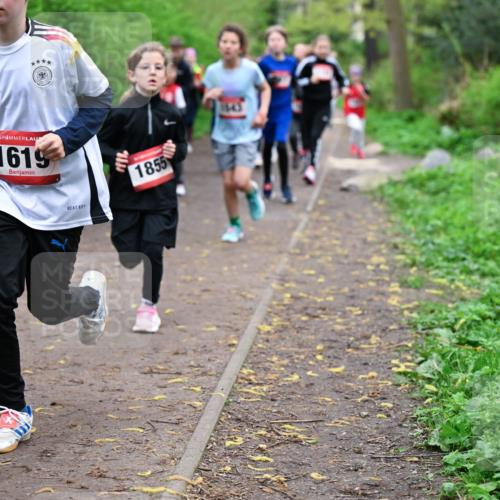 19.04.2026 - Hammer Lauf Dr. Thomas Lammeyer http://msf.ph/oto/9527594 19.04.2026 09:26:09 Laufen 1619, 1855, 1645 meine-sportfotos.de