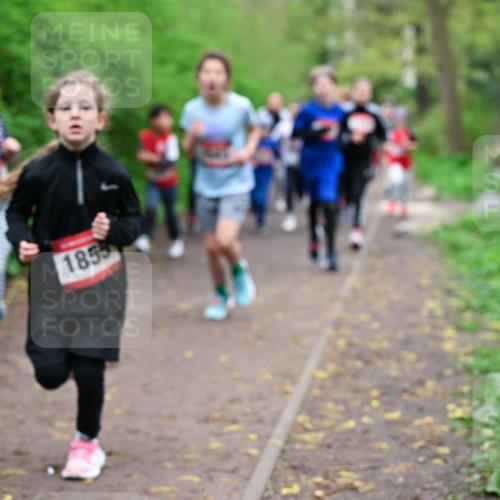 19.04.2026 - Hammer Lauf Dr. Thomas Lammeyer http://msf.ph/oto/9527597 19.04.2026 09:26:09 Laufen 1855 meine-sportfotos.de