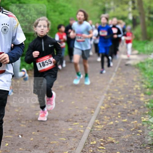 19.04.2026 - Hammer Lauf Dr. Thomas Lammeyer http://msf.ph/oto/9527600 19.04.2026 09:26:09 Laufen 1619, 1855 meine-sportfotos.de