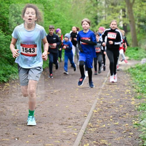 19.04.2026 - Hammer Lauf Dr. Thomas Lammeyer http://msf.ph/oto/9527610 19.04.2026 09:26:10 Laufen 1543, 1193 meine-sportfotos.de