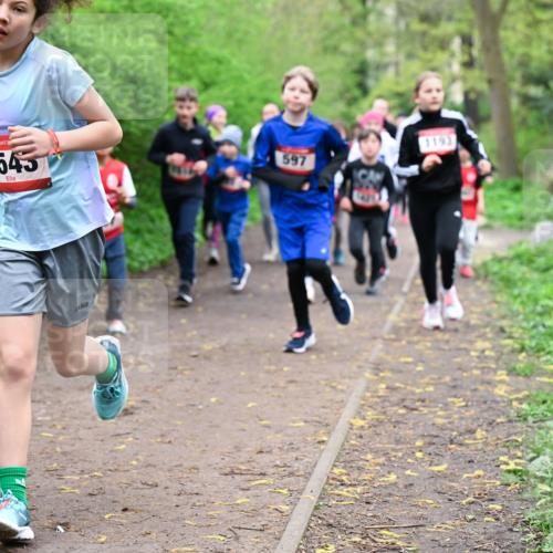 19.04.2026 - Hammer Lauf Dr. Thomas Lammeyer http://msf.ph/oto/9527613 19.04.2026 09:26:11 Laufen 1545, 597, 1193 meine-sportfotos.de
