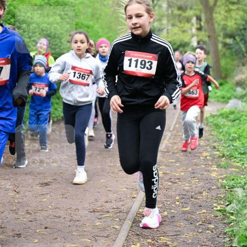 19.04.2026 - Hammer Lauf Dr. Thomas Lammeyer http://msf.ph/oto/9527625 19.04.2026 09:26:12 Laufen 597, 1367, 1193, 463 meine-sportfotos.de