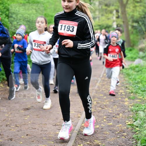 19.04.2026 - Hammer Lauf Dr. Thomas Lammeyer http://msf.ph/oto/9527630 19.04.2026 09:26:12 Laufen 597, 139, 1193, 1463 meine-sportfotos.de