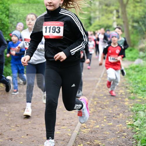 19.04.2026 - Hammer Lauf Dr. Thomas Lammeyer http://msf.ph/oto/9527631 19.04.2026 09:26:12 Laufen 1518, 1193, 146 meine-sportfotos.de