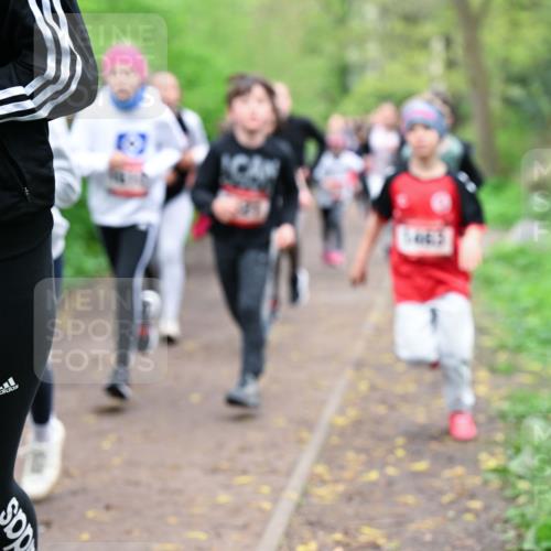 19.04.2026 - Hammer Lauf Dr. Thomas Lammeyer http://msf.ph/oto/9527633 19.04.2026 09:26:13 Laufen  meine-sportfotos.de