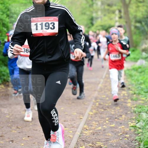 19.04.2026 - Hammer Lauf Dr. Thomas Lammeyer http://msf.ph/oto/9527636 19.04.2026 09:26:13 Laufen 1518, 1193, 1463 meine-sportfotos.de