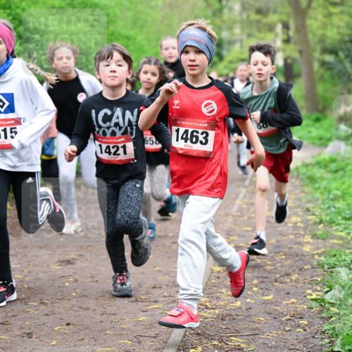 19.04.2026 - Hammer Lauf Dr. Thomas Lammeyer http://msf.ph/oto/9527640 19.04.2026 09:26:13 Laufen 1615, 1421, 1463 meine-sportfotos.de