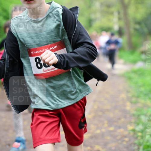 19.04.2026 - Hammer Lauf Dr. Thomas Lammeyer http://msf.ph/oto/9527654 19.04.2026 09:26:15 Laufen  meine-sportfotos.de