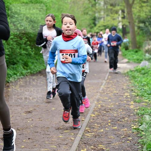 19.04.2026 - Hammer Lauf Dr. Thomas Lammeyer http://msf.ph/oto/9527659 19.04.2026 09:26:16 Laufen  meine-sportfotos.de