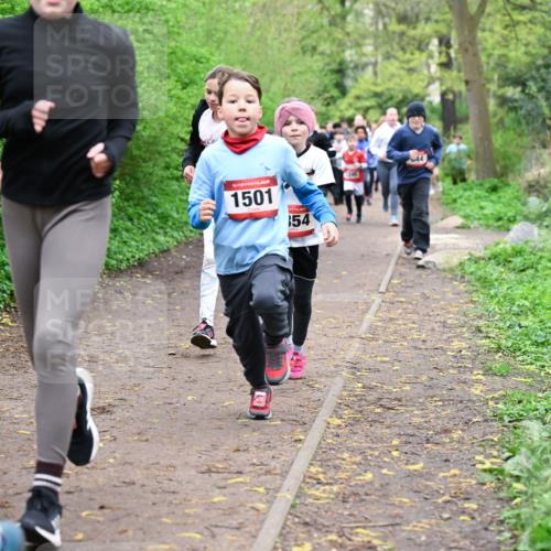 19.04.2026 - Hammer Lauf Dr. Thomas Lammeyer http://msf.ph/oto/9527662 19.04.2026 09:26:15 Laufen 1501 meine-sportfotos.de