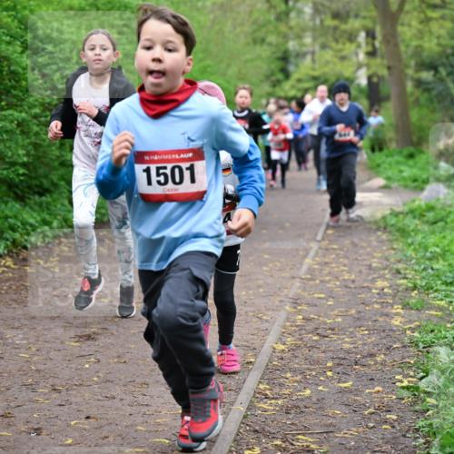 19.04.2026 - Hammer Lauf Dr. Thomas Lammeyer http://msf.ph/oto/9527664 19.04.2026 09:26:16 Laufen 1501 meine-sportfotos.de