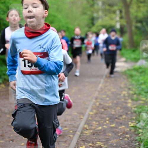 19.04.2026 - Hammer Lauf Dr. Thomas Lammeyer http://msf.ph/oto/9527667 19.04.2026 09:26:16 Laufen  meine-sportfotos.de