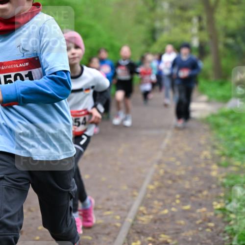 19.04.2026 - Hammer Lauf Dr. Thomas Lammeyer http://msf.ph/oto/9527668 19.04.2026 09:26:16 Laufen 1501 meine-sportfotos.de