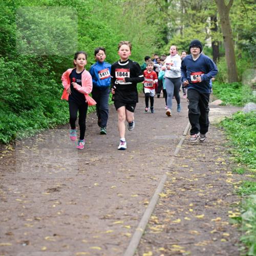 19.04.2026 - Hammer Lauf Dr. Thomas Lammeyer http://msf.ph/oto/9527673 19.04.2026 09:26:17 Laufen 1411, 1844, 1245 meine-sportfotos.de