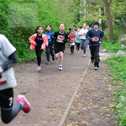 19.04.2026 - Hammer Lauf Dr. Thomas Lammeyer http://msf.ph/oto/9527674 19.04.2026 09:26:17 Laufen 133, 1542, 1844, 1245, 188 meine-sportfotos.de