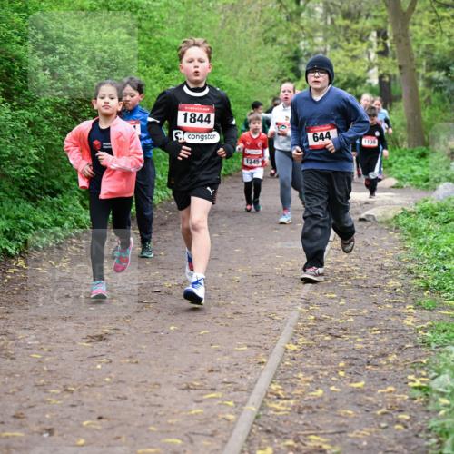 19.04.2026 - Hammer Lauf Dr. Thomas Lammeyer http://msf.ph/oto/9527685 19.04.2026 09:26:18 Laufen 1844, 644, 1139, 1245 meine-sportfotos.de