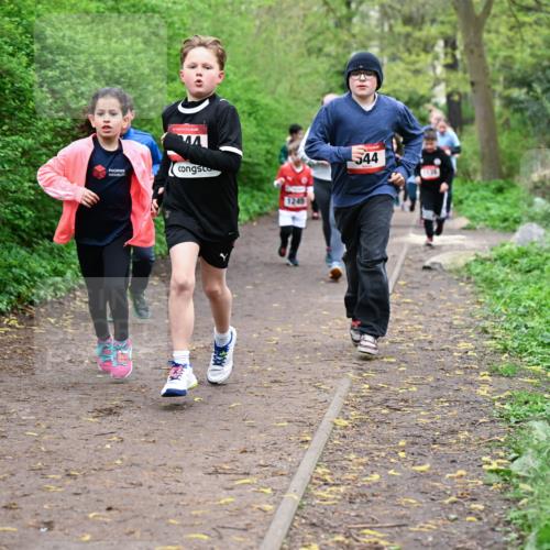 19.04.2026 - Hammer Lauf Dr. Thomas Lammeyer http://msf.ph/oto/9527690 19.04.2026 09:26:18 Laufen 1245, 544 meine-sportfotos.de