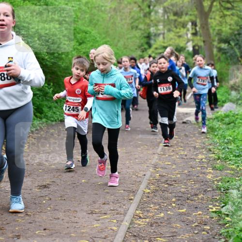 19.04.2026 - Hammer Lauf Dr. Thomas Lammeyer http://msf.ph/oto/9527718 19.04.2026 09:26:21 Laufen 186, 1245, 1139, 1787 meine-sportfotos.de