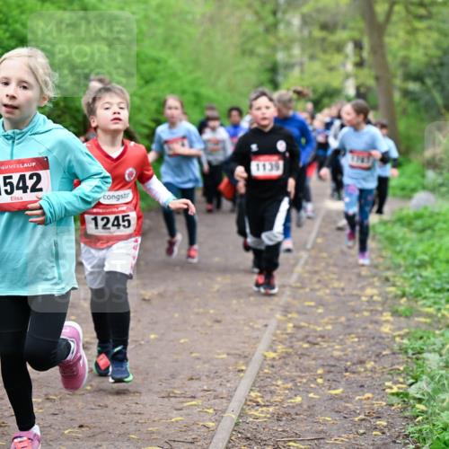 19.04.2026 - Hammer Lauf Dr. Thomas Lammeyer http://msf.ph/oto/9527728 19.04.2026 09:26:22 Laufen 1542, 1245, 1139 meine-sportfotos.de