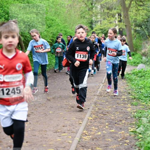 19.04.2026 - Hammer Lauf Dr. Thomas Lammeyer http://msf.ph/oto/9527733 19.04.2026 09:26:23 Laufen 1245, 1714, 1386, 1139, 172 meine-sportfotos.de