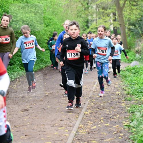 19.04.2026 - Hammer Lauf Dr. Thomas Lammeyer http://msf.ph/oto/9527736 19.04.2026 09:26:23 Laufen 1245, 1714, 1139, 1787, 504 meine-sportfotos.de