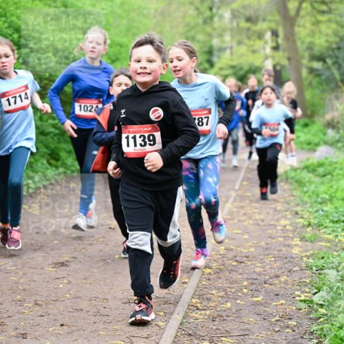 19.04.2026 - Hammer Lauf Dr. Thomas Lammeyer http://msf.ph/oto/9527744 19.04.2026 09:26:24 Laufen 1795, 1714, 1024, 1139 meine-sportfotos.de