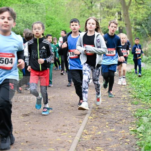 19.04.2026 - Hammer Lauf Dr. Thomas Lammeyer http://msf.ph/oto/9527761 19.04.2026 09:26:26 Laufen 105, 821, 495, 1504 meine-sportfotos.de