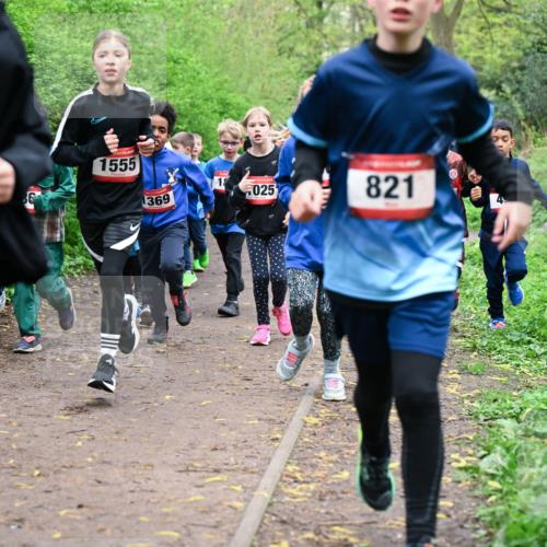 19.04.2026 - Hammer Lauf Dr. Thomas Lammeyer http://msf.ph/oto/9527779 19.04.2026 09:26:28 Laufen 1555, 369, 025, 821 meine-sportfotos.de