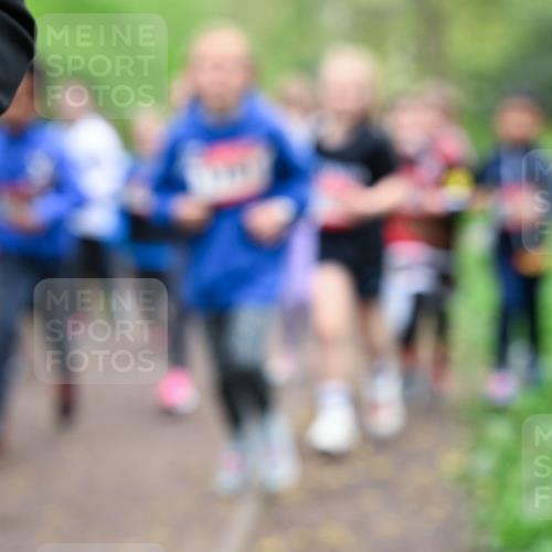 19.04.2026 - Hammer Lauf Dr. Thomas Lammeyer http://msf.ph/oto/9527781 19.04.2026 09:26:29 Laufen  meine-sportfotos.de