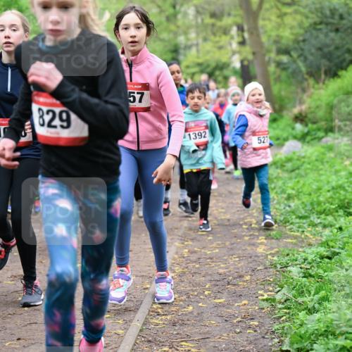 19.04.2026 - Hammer Lauf Dr. Thomas Lammeyer http://msf.ph/oto/9527802 19.04.2026 09:26:34 Laufen 829, 1392, 527 meine-sportfotos.de