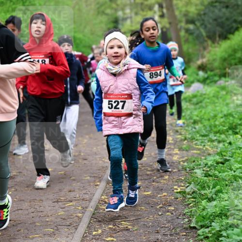 19.04.2026 - Hammer Lauf Dr. Thomas Lammeyer http://msf.ph/oto/9527815 19.04.2026 09:26:35 Laufen 1550, 527, 894 meine-sportfotos.de