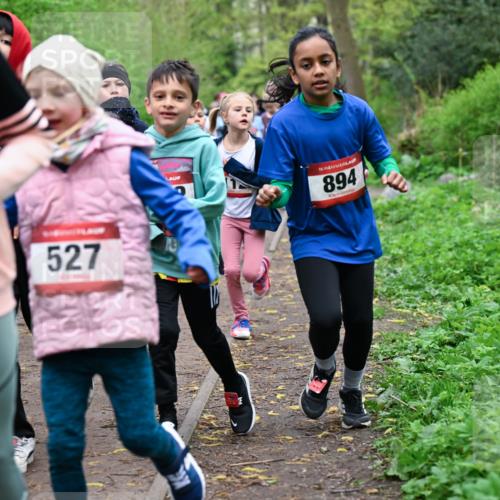 19.04.2026 - Hammer Lauf Dr. Thomas Lammeyer http://msf.ph/oto/9527823 19.04.2026 09:26:35 Laufen 550, 527, 894 meine-sportfotos.de