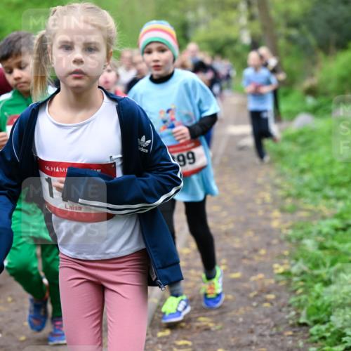 19.04.2026 - Hammer Lauf Dr. Thomas Lammeyer http://msf.ph/oto/9527836 19.04.2026 09:26:37 Laufen 1412 meine-sportfotos.de