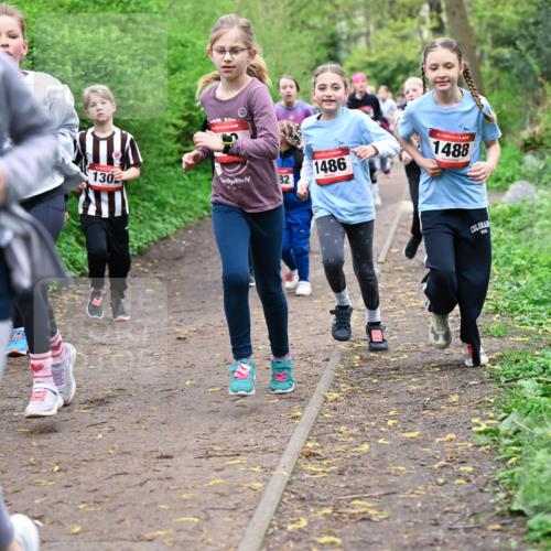 19.04.2026 - Hammer Lauf Dr. Thomas Lammeyer http://msf.ph/oto/9527856 19.04.2026 09:26:40 Laufen 1113, 130, 1486, 1488 meine-sportfotos.de